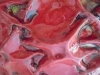 Botanik, detail