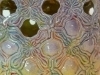 bloemen-maroc, detail