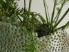 detail vaas